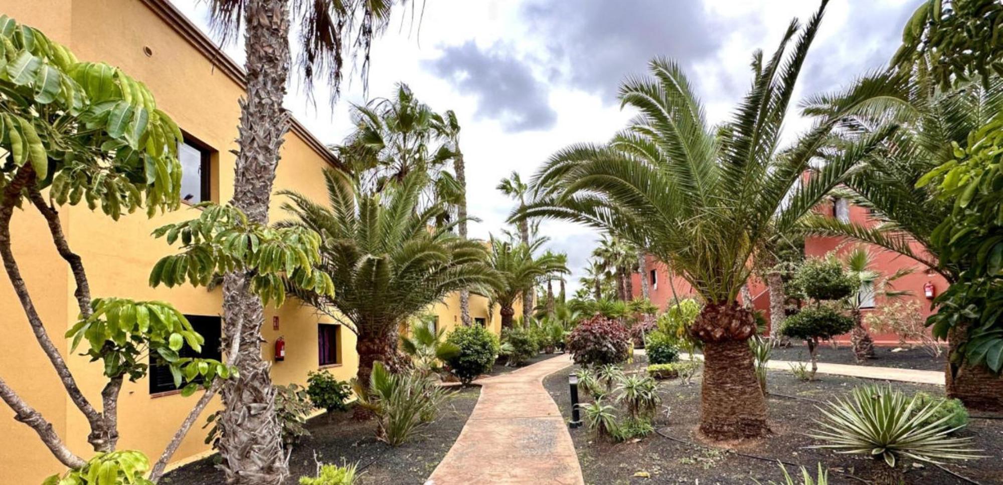 Appartement Tamarindo Pura Vida - Relax Y Vistas Al Mar à Corralejo Extérieur photo